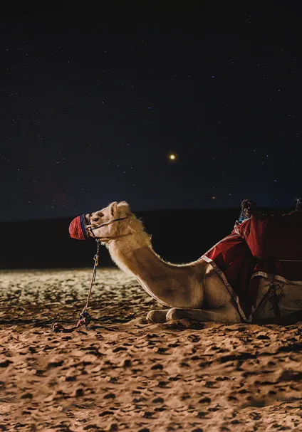 6880c3c056a2a_1753269184